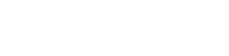 AnkhICT